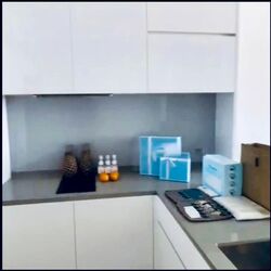 Amber Park (D15), Condominium #576210161